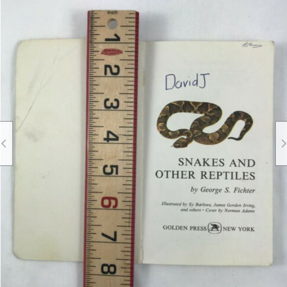 Vtg Snakes & Other Reptiles Golden Pocket Guide 1969 George Fichter - Picture 3 of 7